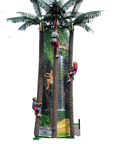 Coconut Tree Climb