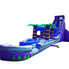 Purple Rain Slide w/ Pool