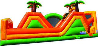 Jungle Run Slide Wet/Dry