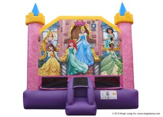 Disney Princess Castle #2