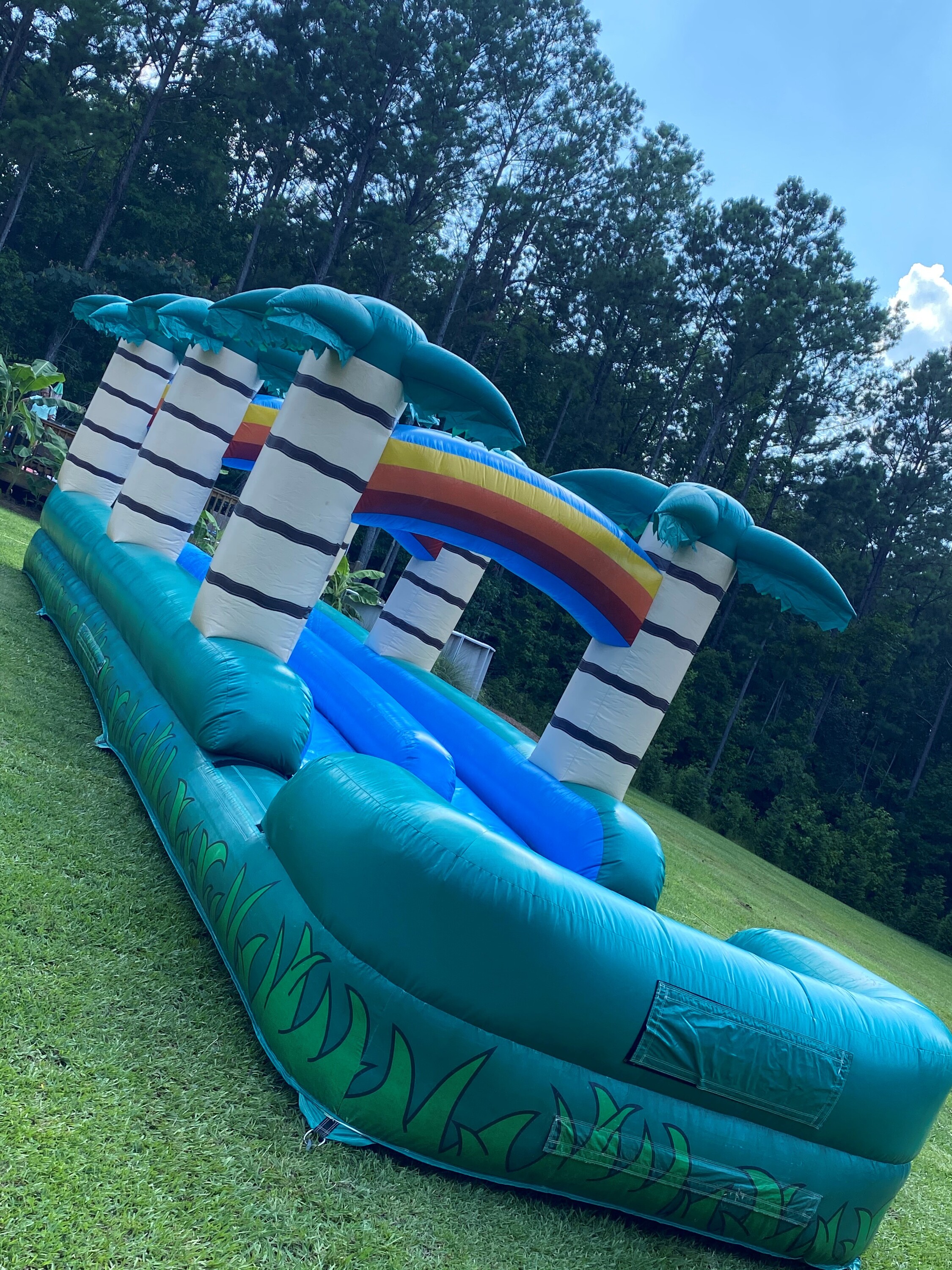 30ft inflatable water slide