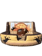 Mechanical Bull