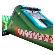 Alligator Slide