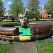 Mechanical Bull Mechanical Bull