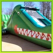 Alligator Slide Alligator Slide