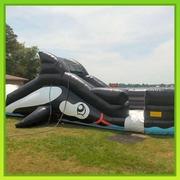 Whale Slide Whale Slide