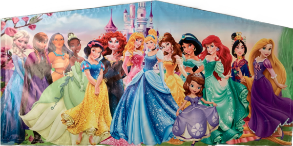 Disney Princesses Theme - Art Panel / Banner