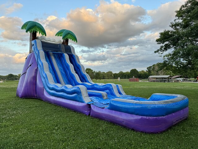 20ft Tropical Paradise Dual Slide