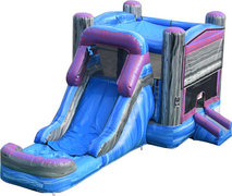 <b>Purple Crush Bounce House and Water Slide. Basketball goal inside. Add to cart, chose your theme or leave blank. #25 </b>
