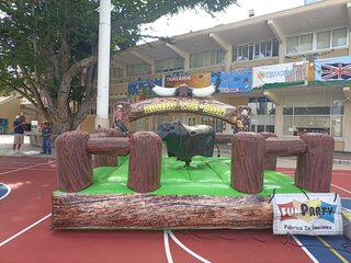 Toro Mecánico Rodeo 