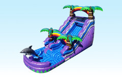 16FT PURPLE DOLPHIN WATERSLIDE WS152