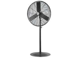 Pedestal Fan