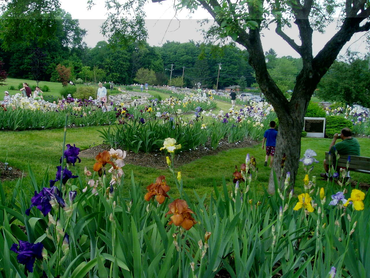 Presby Memorial Iris Gardens Presby Memorial Iris Gardens