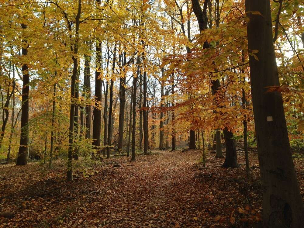 Watchung Reservation in NJ Watchung Reservation in NJ