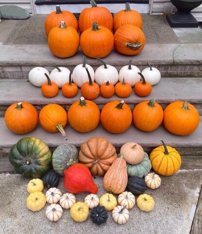 Fall Porch Decorations - Package 3