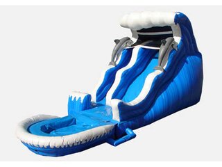 18' Dolphin Slide with Pool **NEW**