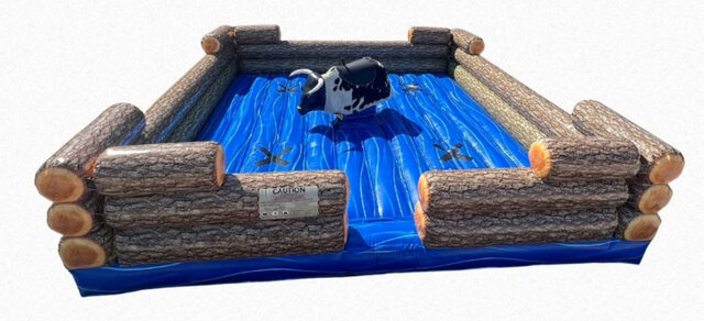 Mechanical Bull