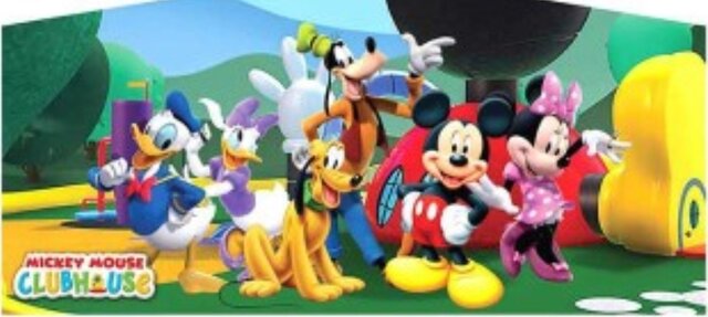 Mickey mouse panel