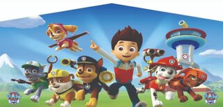 Paw patrol panel