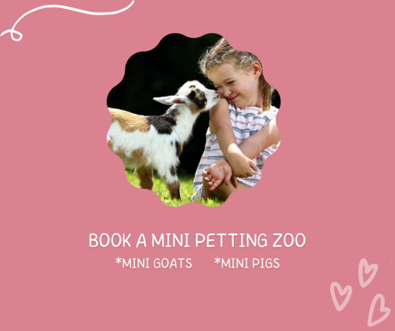 Private Petting Zoo - 1 hour