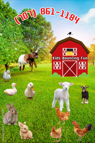 All Mini Friends - Mobile Petting Zoo