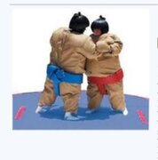 BF - Kid Sumo Suits 