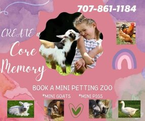 Mobile Mini Petting Zoo