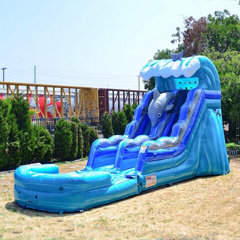 15ft Dolphins Water Slide