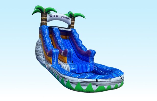 15ft Wild Thing Waterslide