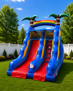 15ft Palm Tree Plung Dry Slide