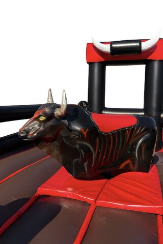 Mechanical Bull  