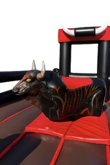 Mechanical Bull  'Big Red'
