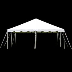 20' x 20' Canopy
