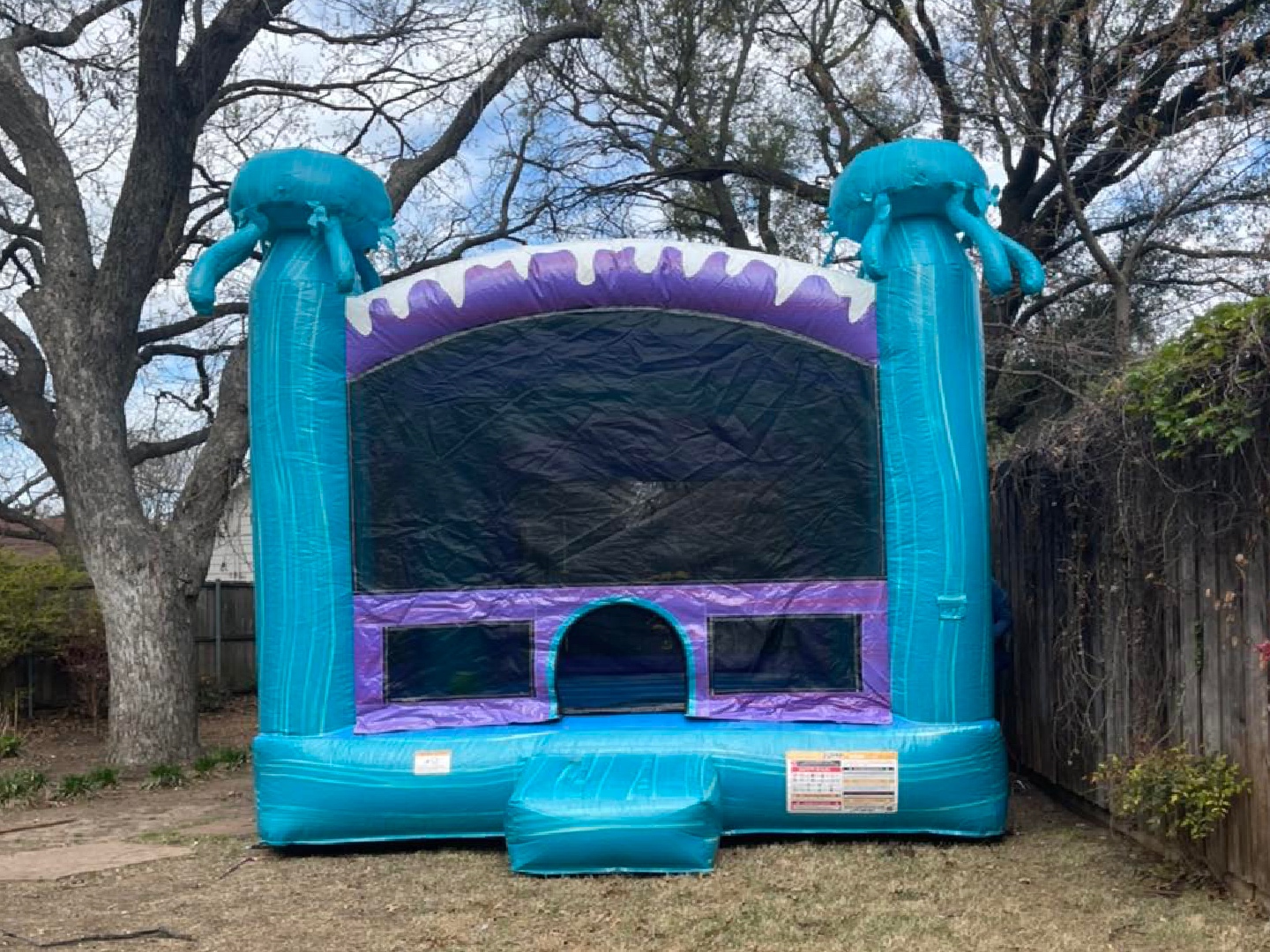 bounce house rentals Dallas TX