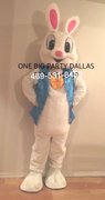 Easter Bunny all day Costume rental 