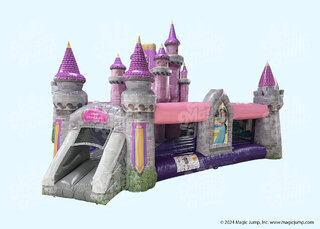 *** New ***
Disney Princess Castle Playground Combo