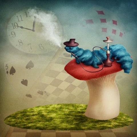 Backdrop - Alice in Wonderland - Caterpillar Mural Photo