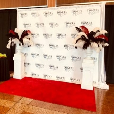 Backdrop - Photo Site - Step and Repeat