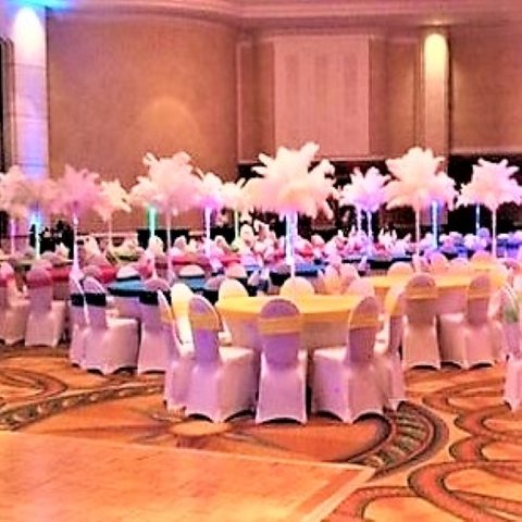 Feather Centerpieces - Spandex Bright Color and Feather Centers 