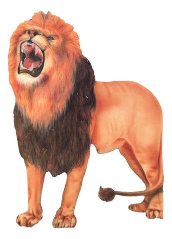 Props - Lion Flat - animal