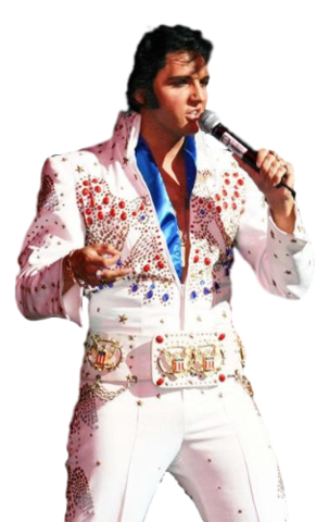 Entertainers - Elvis Celebrity Look Alike