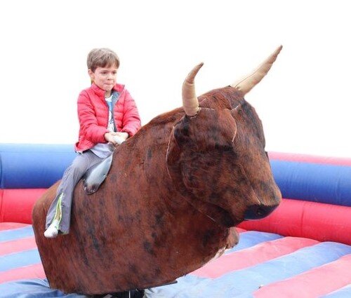 Inflatables - Mechanical Bull