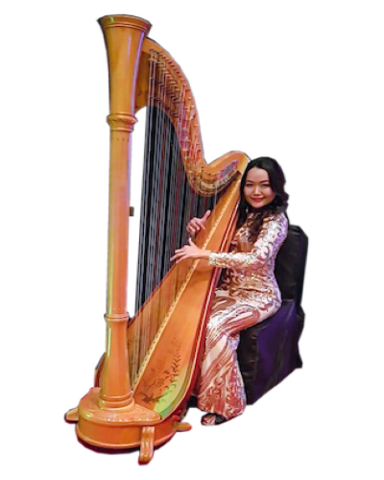 Entertainer - Harpist
