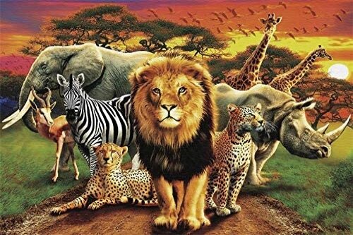 Backdrop - Safari - African 