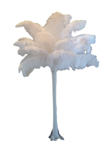 Feathers - Ostrich Feather