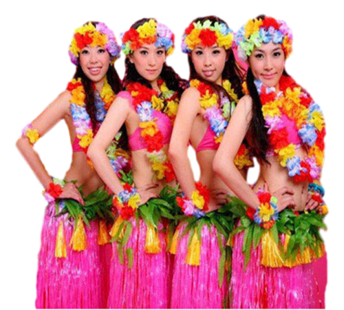 Entertainers - Hawaiian Dancers