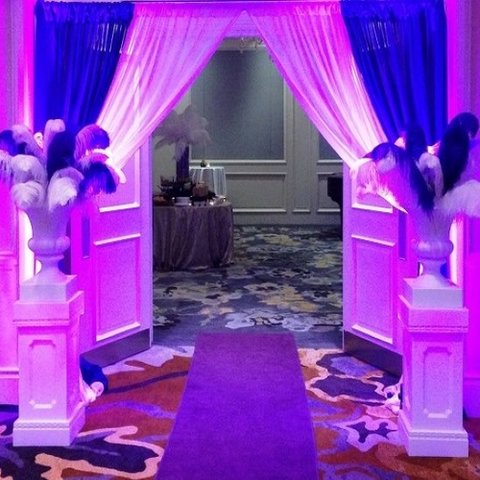 Entrance - Purple Up Lights & Feathers