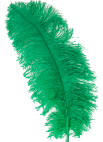 Feather - Ostrich Feather - Green