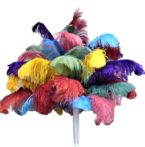 Feathers - Multicolored Feather