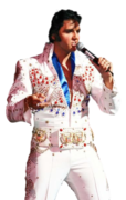 Elvis Celebrity Look Alike